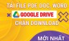 Cách download file PDF bị chặn tải từ Google Drive miễn phí – Update 04/03/2022